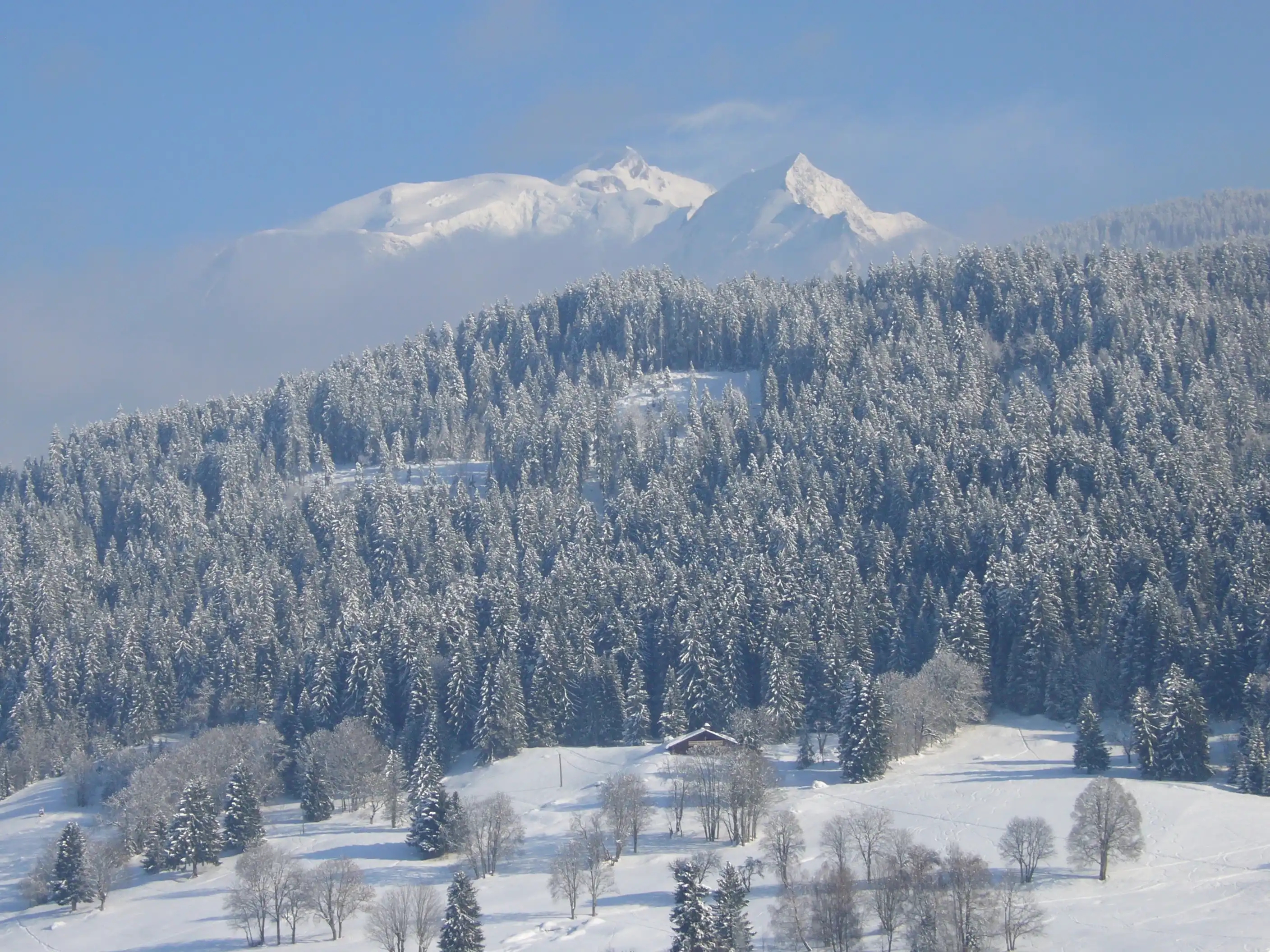 Snowy forest with mountain peaks in Demi-Quartier